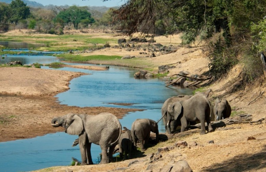 9 Days / 8 NIGHTS Rwanda – Uganda safaris